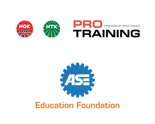 Pro Training and ASE Webinar